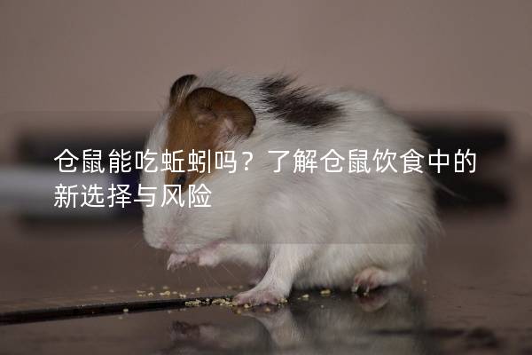 仓鼠能吃蚯蚓吗？了解仓鼠饮食中的新选择与风险