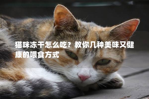 猫咪冻干怎么吃？教你几种美味又健康的喂食方式