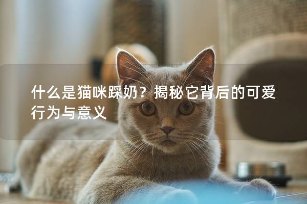 什么是猫咪踩奶？揭秘它背后的可爱行为与意义