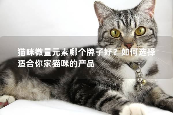 猫咪微量元素哪个牌子好？如何选择适合你家猫咪的产品