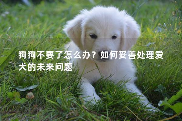 狗狗不要了怎么办？如何妥善处理爱犬的未来问题