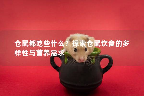 仓鼠都吃些什么?探索仓鼠饮食的多样性与营养需求 仓鼠都吃些什么?探索仓鼠饮食的多样性与营养需求