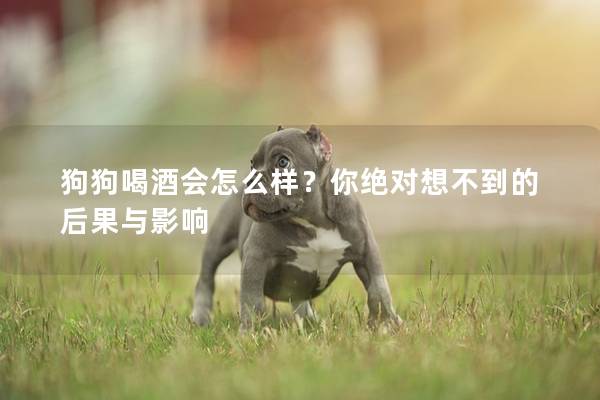 狗狗喝酒会怎么样？你绝对想不到的后果与影响