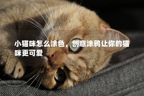 小猫咪怎么涂色，创意涂鸦让你的猫咪更可爱