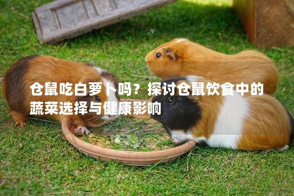 仓鼠吃白萝卜吗？探讨仓鼠饮食中的蔬菜选择与健康影响