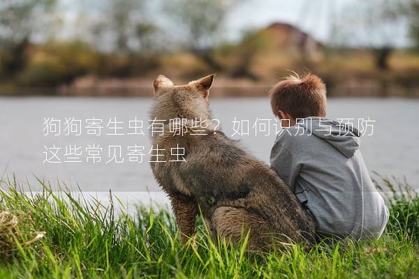 狗狗寄生虫有哪些？如何识别与预防这些常见寄生虫