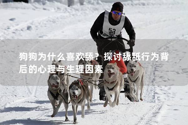 狗狗为什么喜欢舔？探讨舔舐行为背后的心理与生理因素