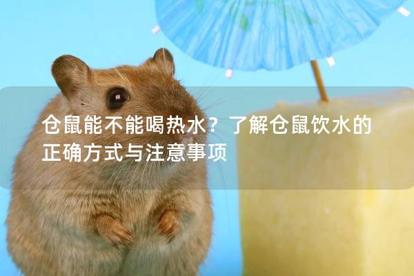 仓鼠能不能喝热水？了解仓鼠饮水的正确方式与注意事项