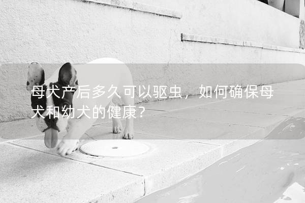 母犬产后多久可以驱虫,如何确保母犬和幼犬的健康? 母犬产后多久可以驱虫,如何确保母犬和幼犬的健康?