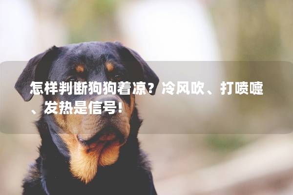 怎样判断狗狗着凉?冷风吹、打喷嚏、发热是信号! 怎样判断狗狗着凉?冷风吹、打喷嚏、发热是信号!