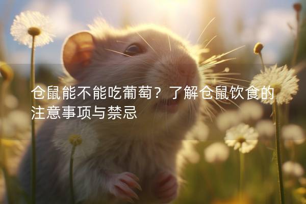 仓鼠能不能吃葡萄？了解仓鼠饮食的注意事项与禁忌