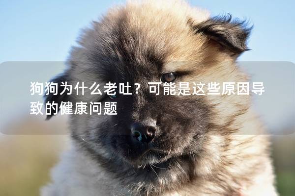 狗狗为什么老吐?可能是这些原因导致的健康问题 狗狗为什么老吐?可能是这些原因导致的健康问题