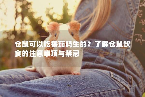 仓鼠可以吃番茄吗生的？了解仓鼠饮食的注意事项与禁忌