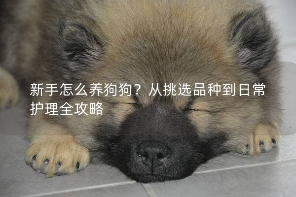 新手怎么养狗狗?从挑选品种到日常护理全攻略 新手怎么养狗狗?从挑选品种到日常护理全攻略