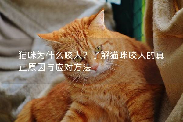 猫咪为什么咬人？了解猫咪咬人的真正原因与应对方法