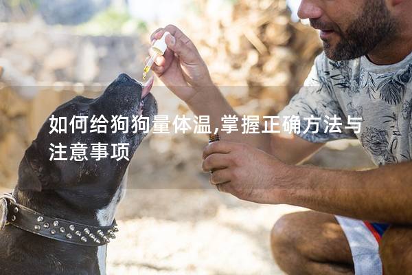 如何给狗狗量体温,掌握正确方法与注意事项