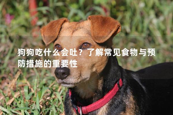 狗狗吃什么会吐？了解常见食物与预防措施的重要性