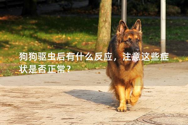 狗狗驱虫后有什么反应，注意这些症状是否正常？