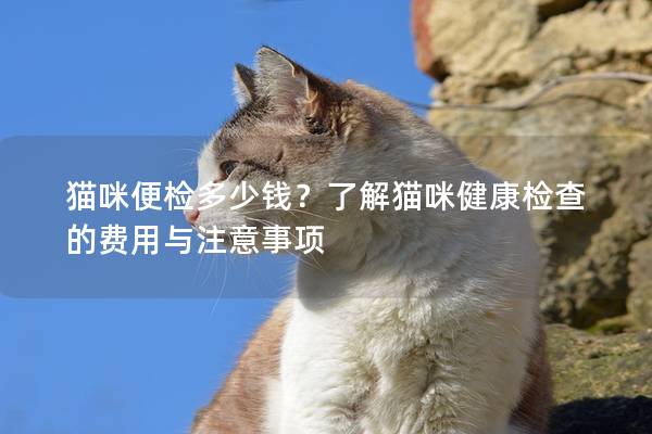 猫咪便检多少钱？了解猫咪健康检查的费用与注意事项