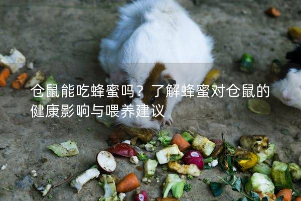 仓鼠能吃蜂蜜吗？了解蜂蜜对仓鼠的健康影响与喂养建议