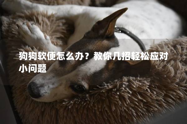 狗狗软便怎么办?教你几招轻松应对小问题 狗狗软便怎么办?教你几招轻松应对小问题