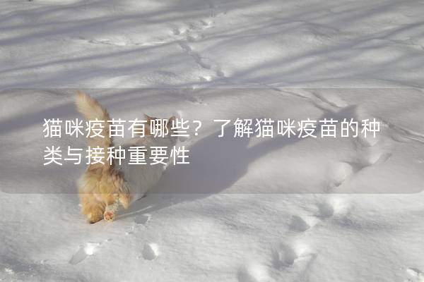 猫咪疫苗有哪些？了解猫咪疫苗的种类与接种重要性