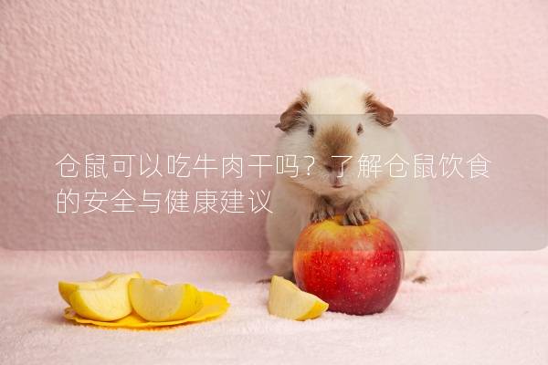 仓鼠可以吃牛肉干吗？了解仓鼠饮食的安全与健康建议