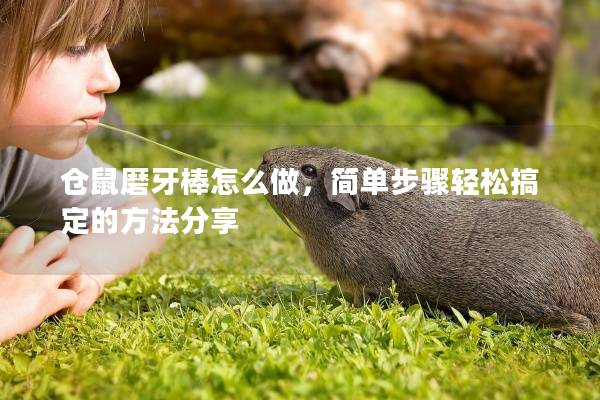 仓鼠磨牙棒怎么做,简单步骤轻松搞定的方法分享 仓鼠磨牙棒怎么做,简单步骤轻松搞定的方法分享