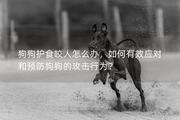 狗狗护食咬人怎么办，如何有效应对和预防狗狗的攻击行为？