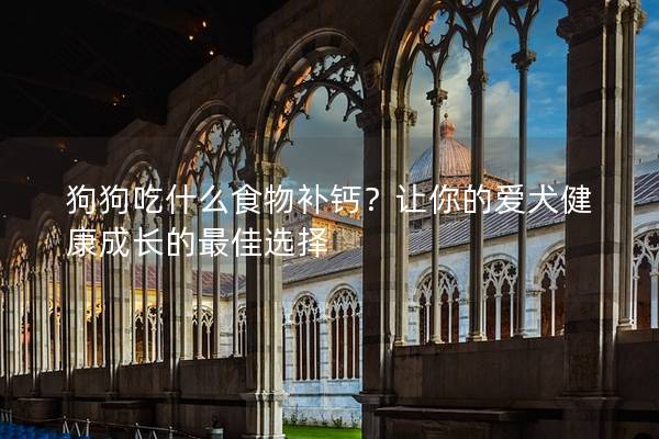 狗狗吃什么食物补钙？让你的爱犬健康成长的最佳选择