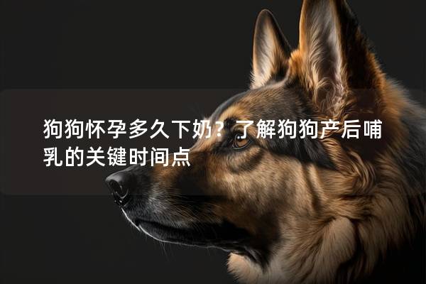 狗狗怀孕多久下奶？了解狗狗产后哺乳的关键时间点