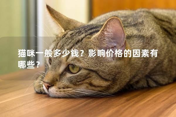 猫咪一般多少钱?影响价格的因素有哪些? 猫咪一般多少钱?影响价格的因素有哪些?