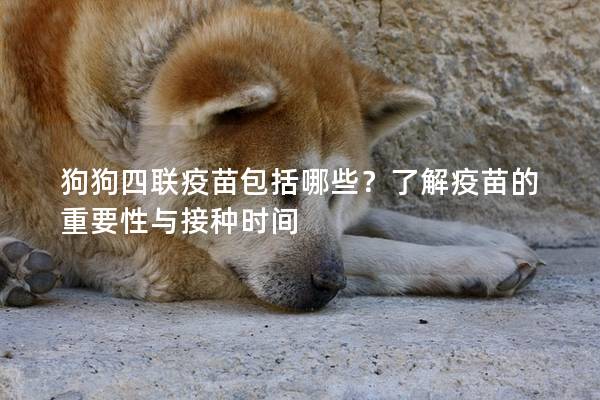 狗狗四联疫苗包括哪些？了解疫苗的重要性与接种时间