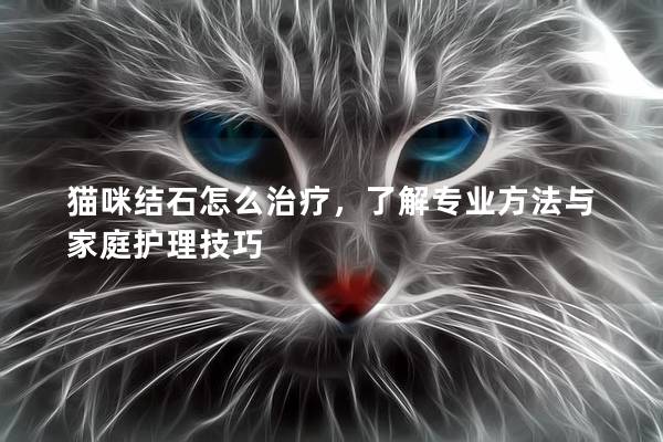 猫咪结石怎么治疗,了解专业方法与家庭护理技巧 猫咪结石怎么治疗,了解专业方法与家庭护理技巧
