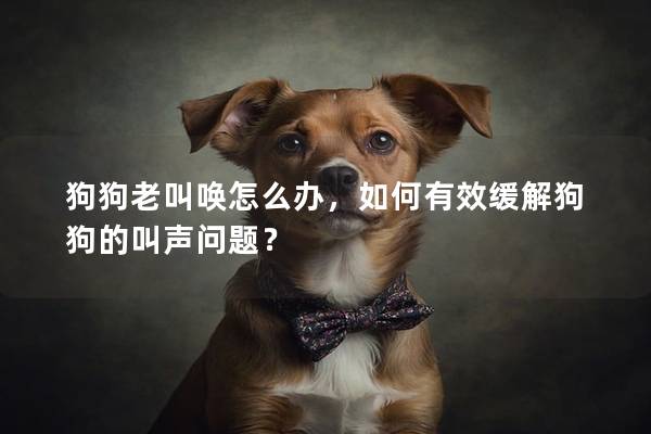 狗狗老叫唤怎么办，如何有效缓解狗狗的叫声问题？