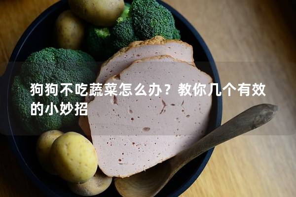 狗狗不吃蔬菜怎么办？教你几个有效的小妙招