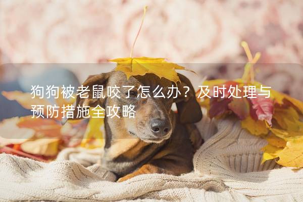 狗狗被老鼠咬了怎么办？及时处理与预防措施全攻略