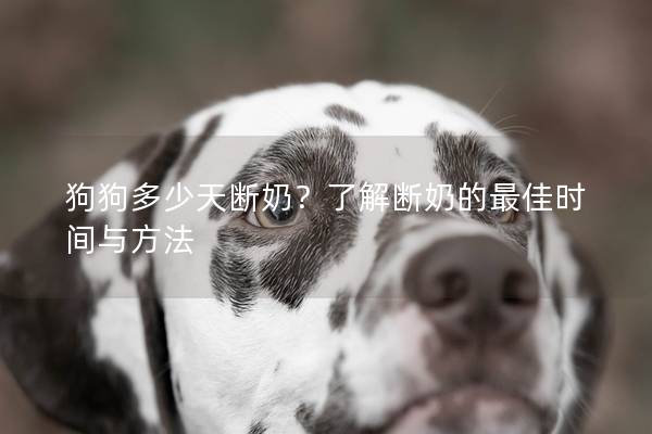 狗狗多少天断奶？了解断奶的最佳时间与方法