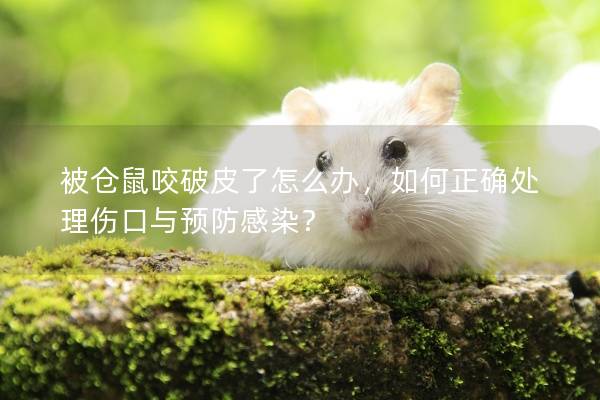 被仓鼠咬破皮了怎么办，如何正确处理伤口与预防感染？
