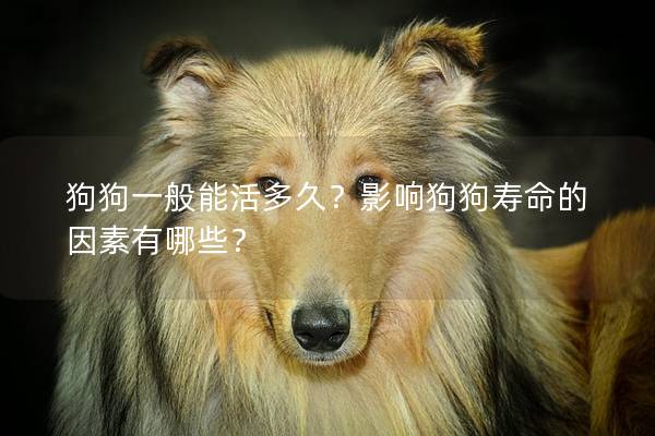 狗狗一般能活多久?影响狗狗寿命的因素有哪些? 狗狗一般能活多久?影响狗狗寿命的因素有哪些?
