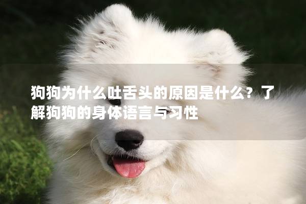 狗狗为什么吐舌头的原因是什么？了解狗狗的身体语言与习性