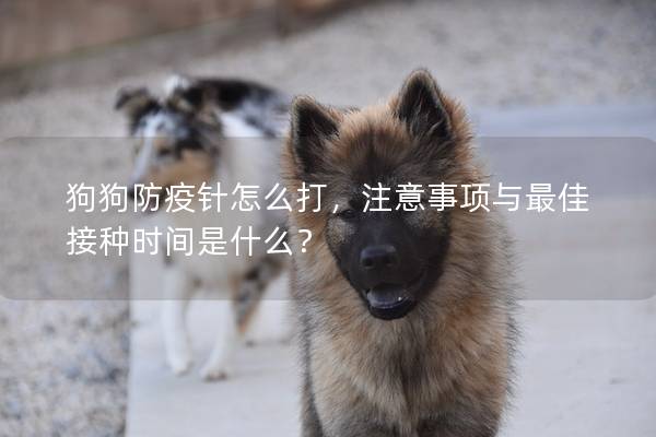 狗狗防疫针怎么打,注意事项与最佳接种时间是什么? 狗狗防疫针怎么打,注意事项与最佳接种时间是什么?