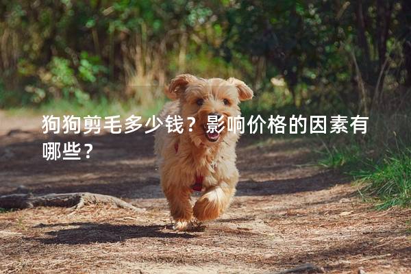 狗狗剪毛多少钱?影响价格的因素有哪些? 狗狗剪毛多少钱?影响价格的因素有哪些?