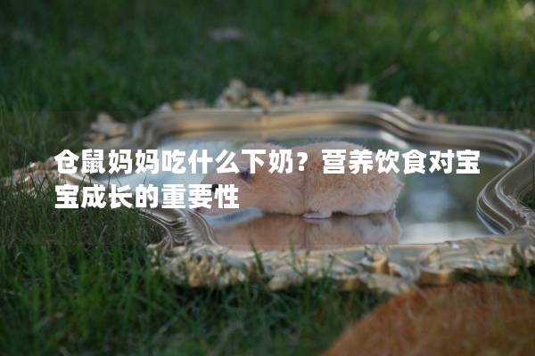 仓鼠妈妈吃什么下奶？营养饮食对宝宝成长的重要性