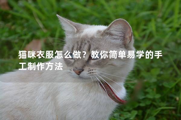 猫咪衣服怎么做？教你简单易学的手工制作方法