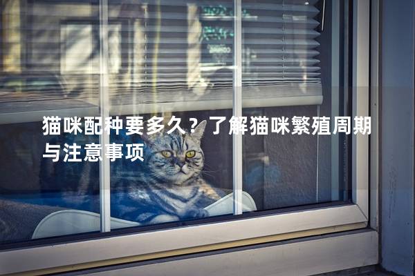 猫咪配种要多久？了解猫咪繁殖周期与注意事项