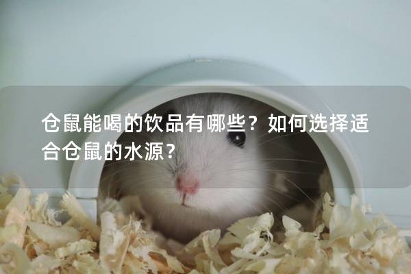 仓鼠能喝的饮品有哪些？如何选择适合仓鼠的水源？