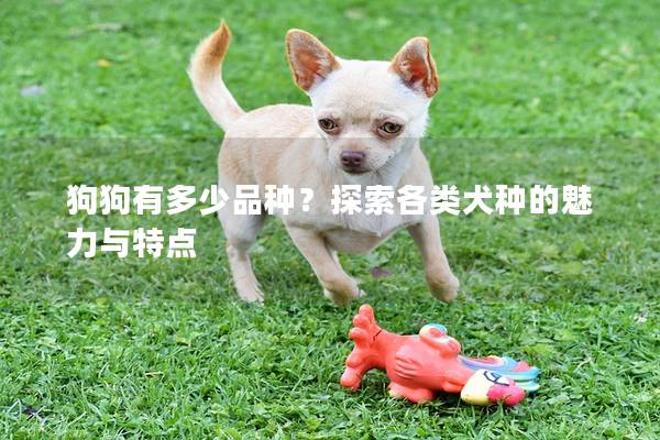狗狗有多少品种?探索各类犬种的魅力与特点 狗狗有多少品种?探索各类犬种的魅力与特点