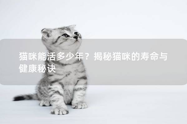 猫咪能活多少年?揭秘猫咪的寿命与健康秘诀 猫咪能活多少年?揭秘猫咪的寿命与健康秘诀