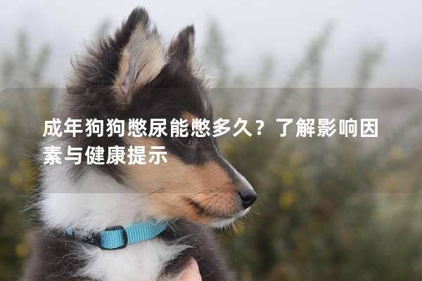 成年狗狗憋尿能憋多久?了解影响因素与健康提示 成年狗狗憋尿能憋多久?了解影响因素与健康提示